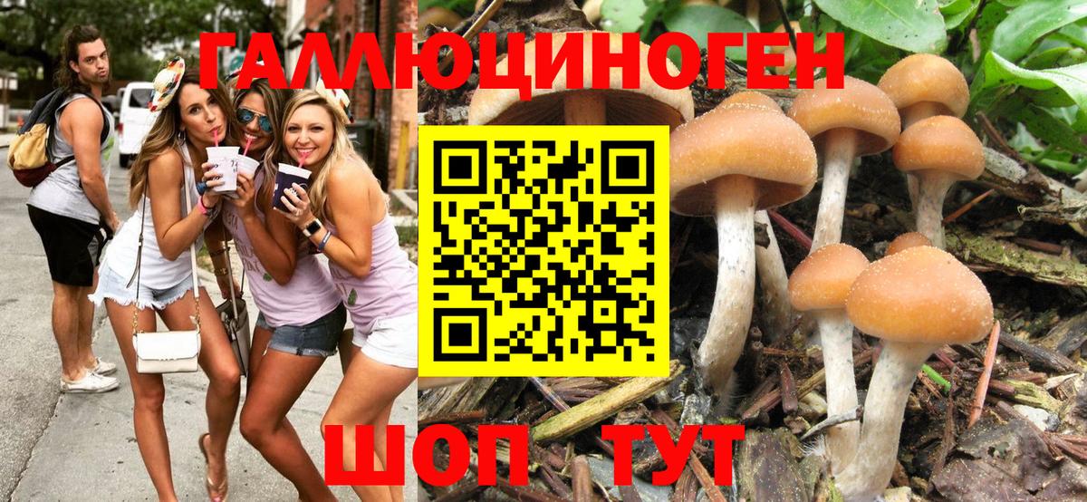 Галлюциногенные грибы Psilocybe  Галлюциногенные грибы MAGIC MUSHROOMS  Подольск  Вход с VPN 